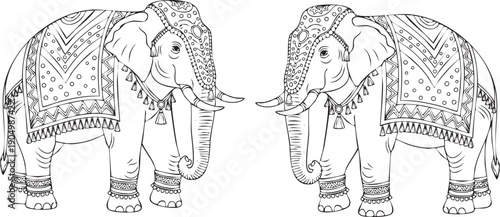 Elephants