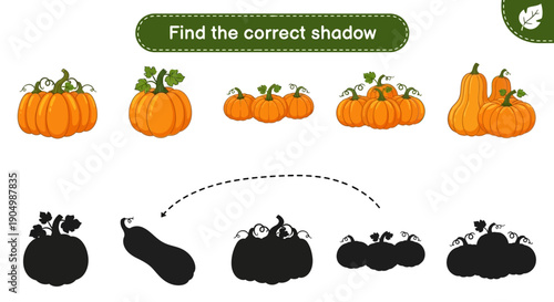 A cartoon illustration of pumpkins and their corresponding shadows, presented in a matching game format with a white background viewed from directly above