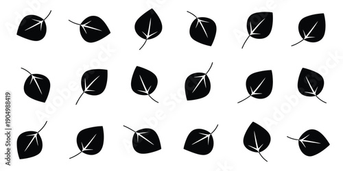 A collection of various leaves with central stems displayed in a grid pattern isolated on white background