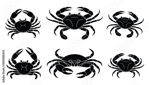Six distinct black and white illustrations of stylized crabs in various poses isolated on white background, Vector, illustration