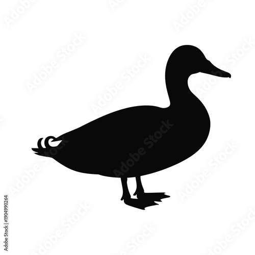 A sleek silhouette of a duck standing on a flat surface with its head turned slightly upward isolated on white background, Vector, illustration