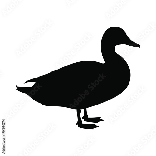 A sleek silhouette of a duck standing gracefully on a flat surface isolated on white background, Vector, illustration