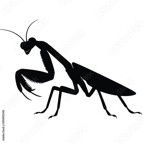 A striking black and white illustration of a praying mantis in mid-stride isolated on white background, Vector, illustration