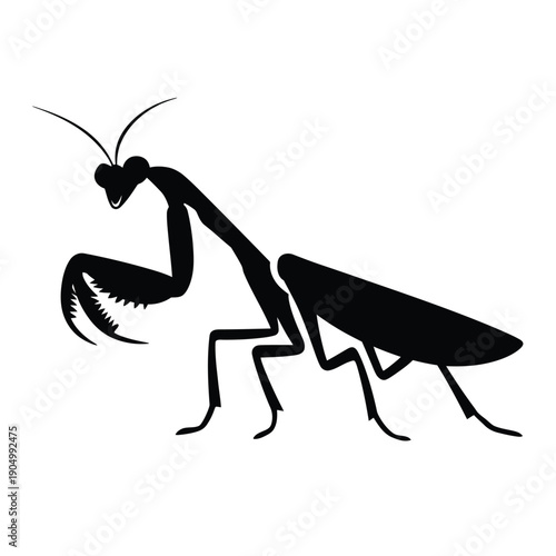 Graceful black silhouette of a praying mantis in motion isolated on white background, Vector, illustration