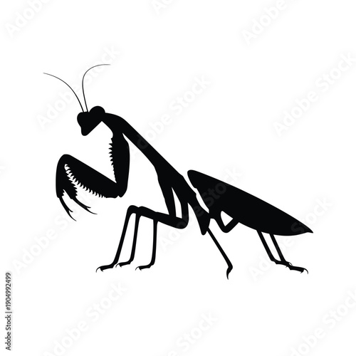Silhouette of a praying mantis in a poised stance against a plain background isolated on white background, Vector, illustration