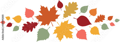 Colorful Autumn Leaves Vector Illustration, Fall Foliage Horizontal Border for Seasonal Decor, Thanksgiving Background,