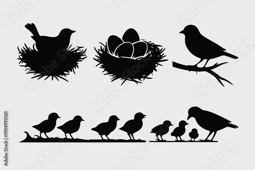 Silhouette illustration of birds nesting and perched on branches isolated on white background, Vector, illustration
