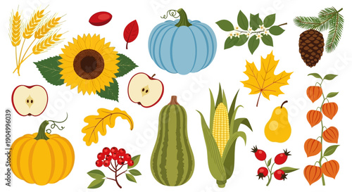 Assorted autumnal elements including pumpkins, fruits, and grains arranged in a visually appealing illustration