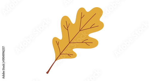An isolated yellow oak leaf illustration on a plain background viewed from directly above