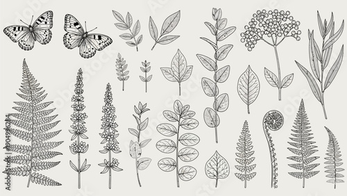 A collection of various botanical illustrations featuring leaves, flowers, and a butterfly from different viewpoints.