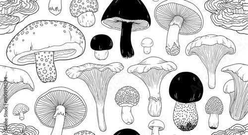 Various species of mushrooms illustrated in a detailed black and white pattern from a top-down viewpoint