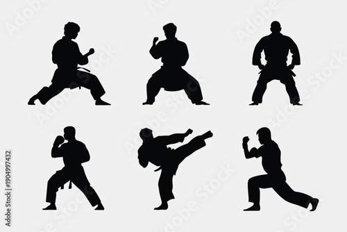 Silhouettes of martial arts practitioners demonstrating various fighting stances and techniques isolated on white background, Vector, illustration