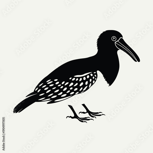 Black and white seabird standing on a flat surface with a long beak isolated on white background, Vector, illustration