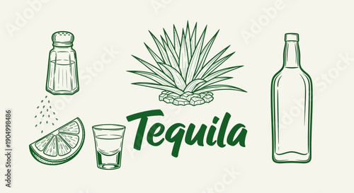 Illustration of tequila ingredients and bottle on a clean background from a straightforward viewpoint