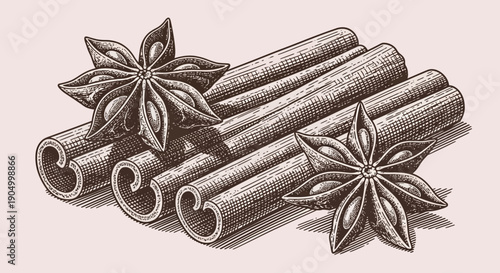 Cinnamon sticks and star anise illustration on a monochromatic background from a top view perspective