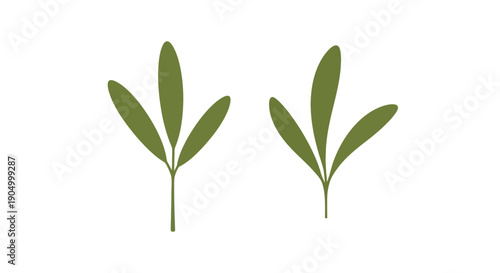 Two green stems with leaves displayed against a simple background from a straightforward viewpoint