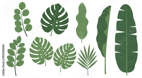 Collection of various green leaves and plants displayed from a direct overhead viewpoint