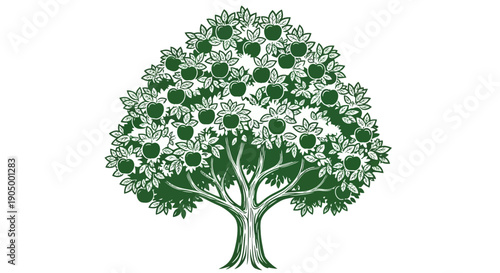 An illustration of a tree with green leaves and white flowers viewed from the front