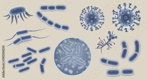 Microscopic view of various bacteria types.