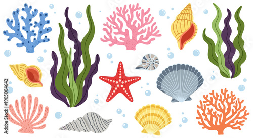 Colorful underwater elements including corals, seashells, and seaweed.