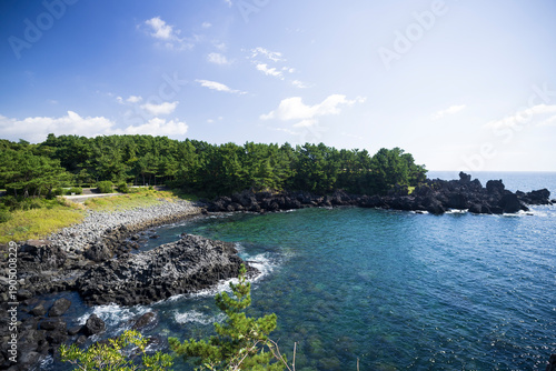 Jusangjeolli Cliffs on the volcanic island of Jeju Korea