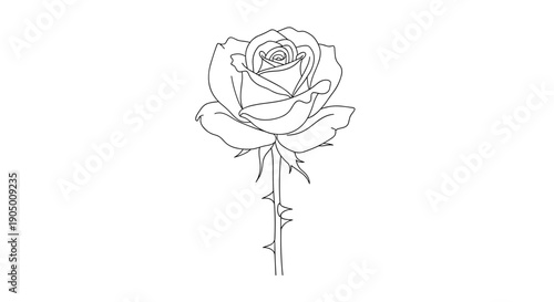 A delicate line drawing of a single rose with thorns