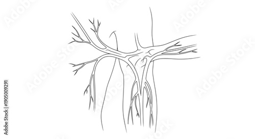 Black and white illustration of tree branches on with many thin limbs