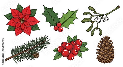 Christmas icons including poinsettia holly mistletoe pinecone and berries