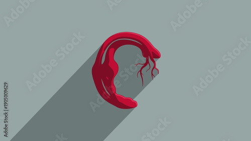 dynamic red aorta illustration with branching blood vessels flat design with long shadow ideal for medical education and health content.