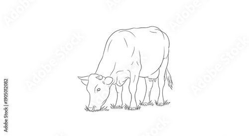 A black and white line drawing of a cow grazing in a field with grass