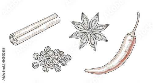 A selection of various spices and herbs including cinnamon stick star anise peppercorns and chili pepper