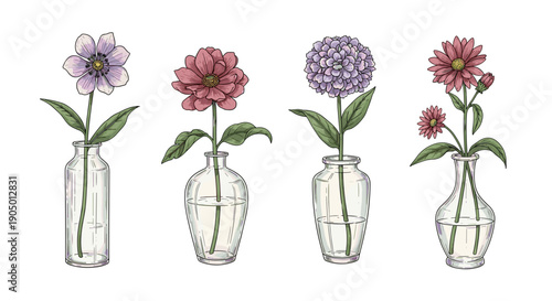 Four colorful flowers in clear glass vases on a with green leaves and stems