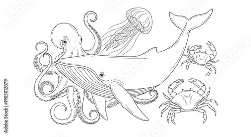 Black and white illustration of a whale, octopus, jellyfish, and crab in ocean