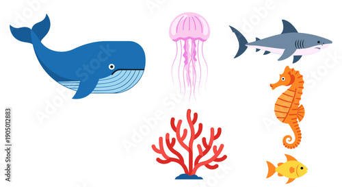 Colorful illustration of ocean creatures including whale shark jellyfish coral seahorse and fish