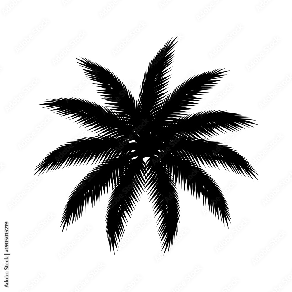 Obraz premium palm tree silhouette fanned fronds from a top-down aerial view evoking tropical summer holidays and relaxing vacation escapes.