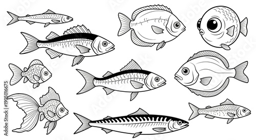 Collection of various fish species illustrated in black and white, showcasing diverse aquatic life