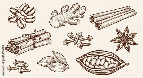Assorted Spices and Seasonings, Including Cinnamon, Nutmeg, and Cloves, Arranged on a Neutral Background, Illustrated in a Detailed Manner
