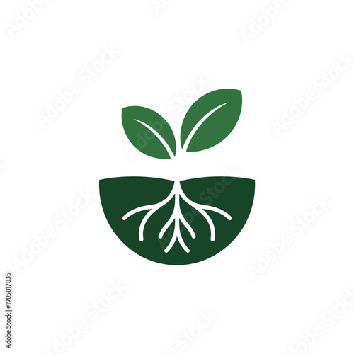 Seedling with deep roots symbolizes strong growth and healthy.