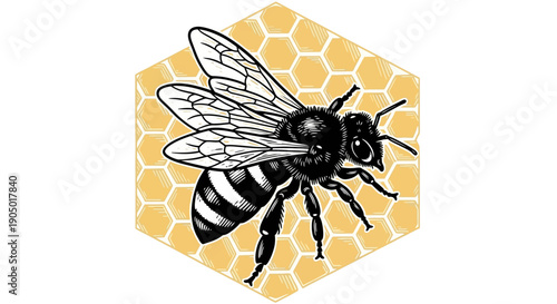 A detailed digital illustration of a bee on a honeycomb
