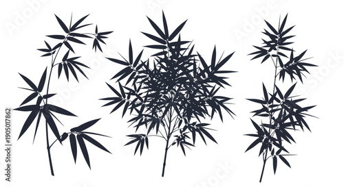 Bamboo plants silhouetted against a clean background in a serene illustration from various viewpoints