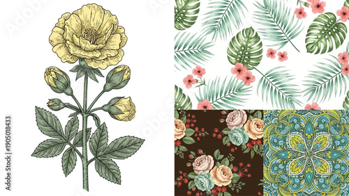 Floral patterns and illustrations showcasing various botanical elements in different designs and layouts