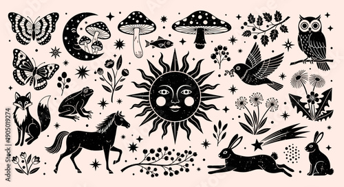 Celestial bodies and wildlife illustrations in a whimsical illustration from various viewpoints