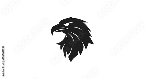 Eagle head silhouette on white background