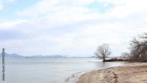 Wallpaper Mural Calm lake surface surrounded by natural environment outdoors Torontodigital.ca