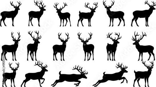 Collection of deer silhouettes isolated on white background, stag and buck poses including standing and running wildlife set