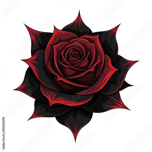 Single Dark Red Rose with Sharp Black Petals