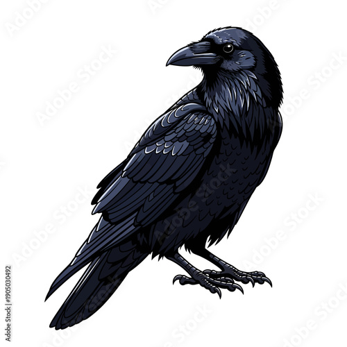 Detailed Illustration of a Black Raven Bird