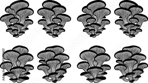 Vintage engraved oyster mushroom illustration set, black and white detailed fungi collection for organic food packaging design