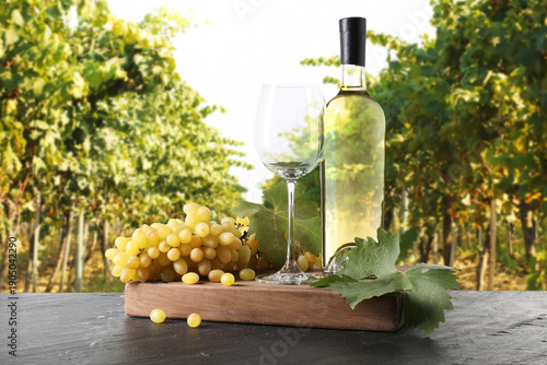 Photos Wine and fresh grapes on table. Glass and bottle in vineyard