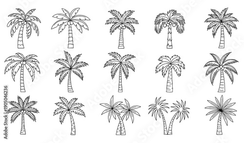 Palm Tree Doodle Icon Set Hand Drawn Tropical Outline Vector Clipart Collection